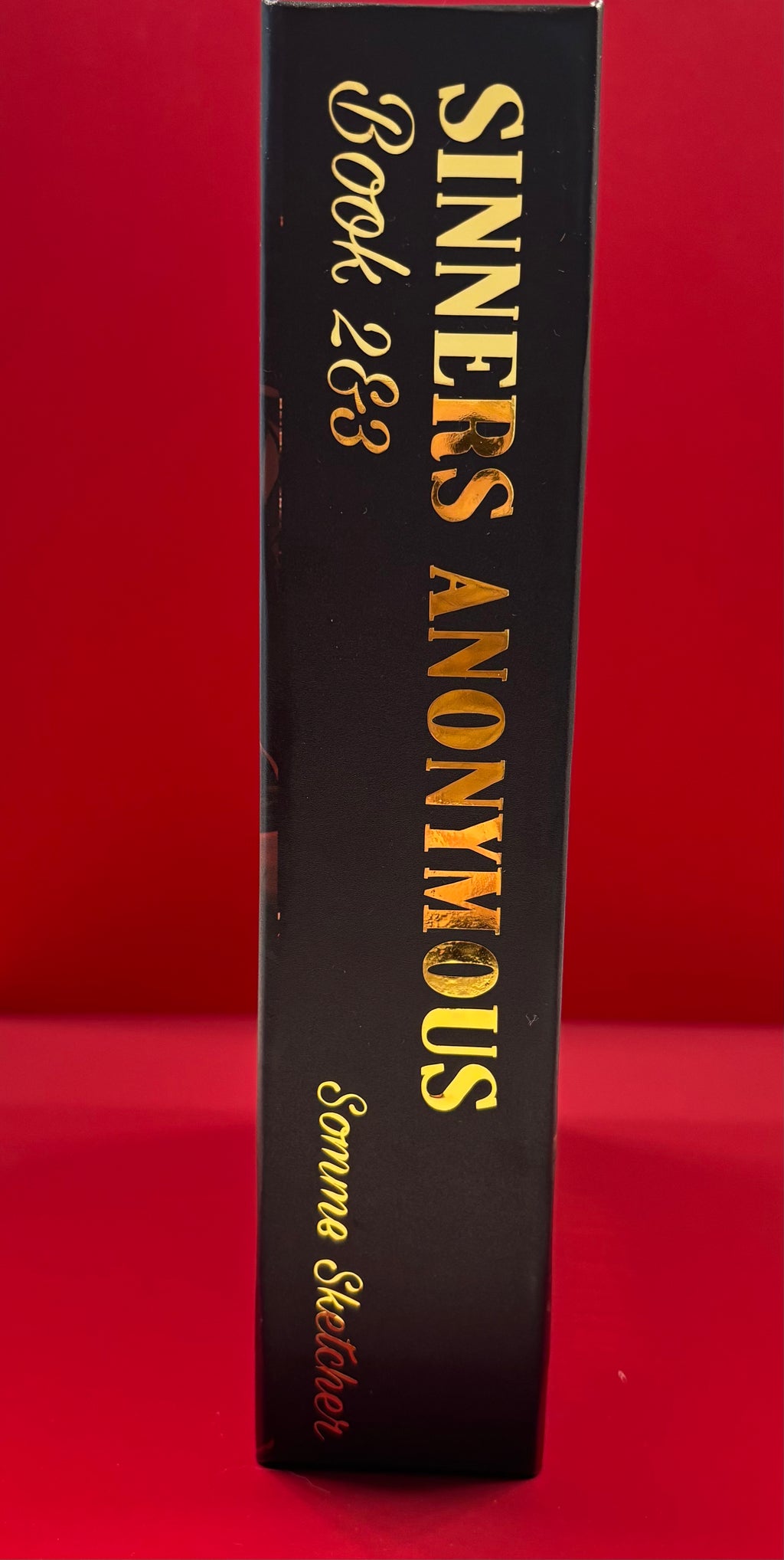 Sinners Anonymous Book 2 & 3 Rebind